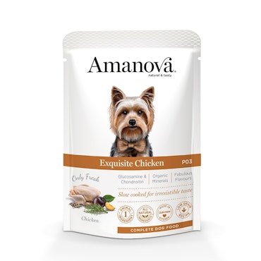 Blötfoder Amanova Exquisite Chicken