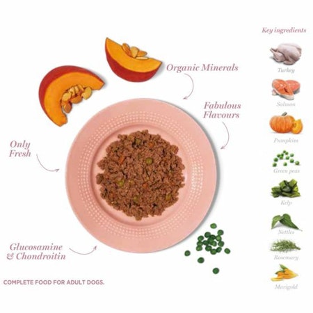 Blötfoder Amanova Tasty Salmon&Turkey 100g