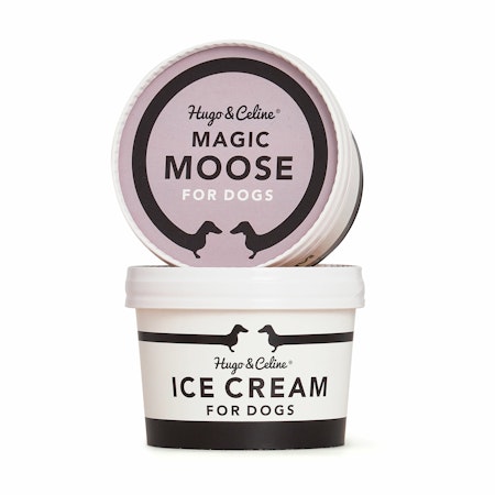 Magic Moose