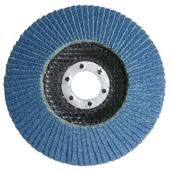 FlapDisc P