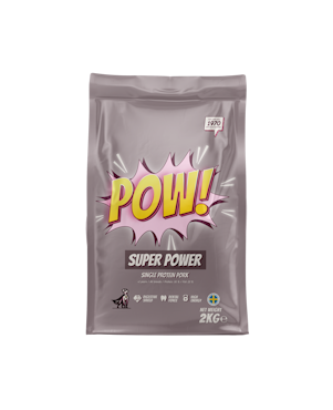 POW! Super Power