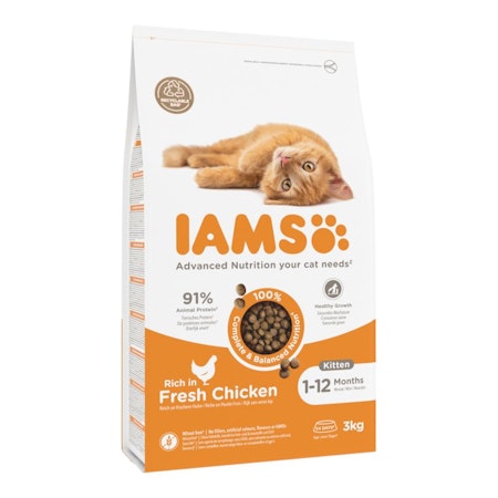 IAMS Kitten