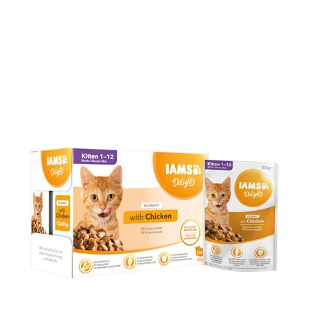 IAMS Delights In Gravy Multipack Kitten