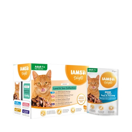 IAMS Delights In Jelly Multipack Land & Sea