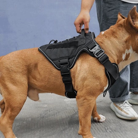 K9 Kraftig Taktiskt Väst med Reflex