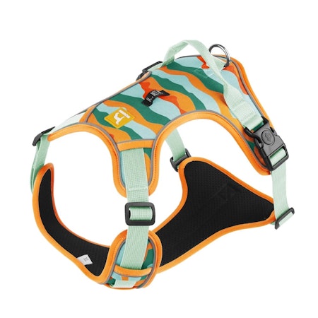 DUOMM PET Hundsele Ballistic