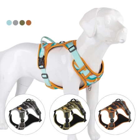 DUOMM PET Hundsele Ballistic