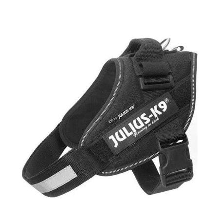 JULIUS-K9 IDC Sele