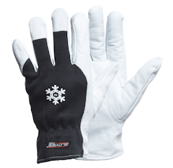DEX 12 MONTAGEHANDSKAR GETSKINN - VINTER