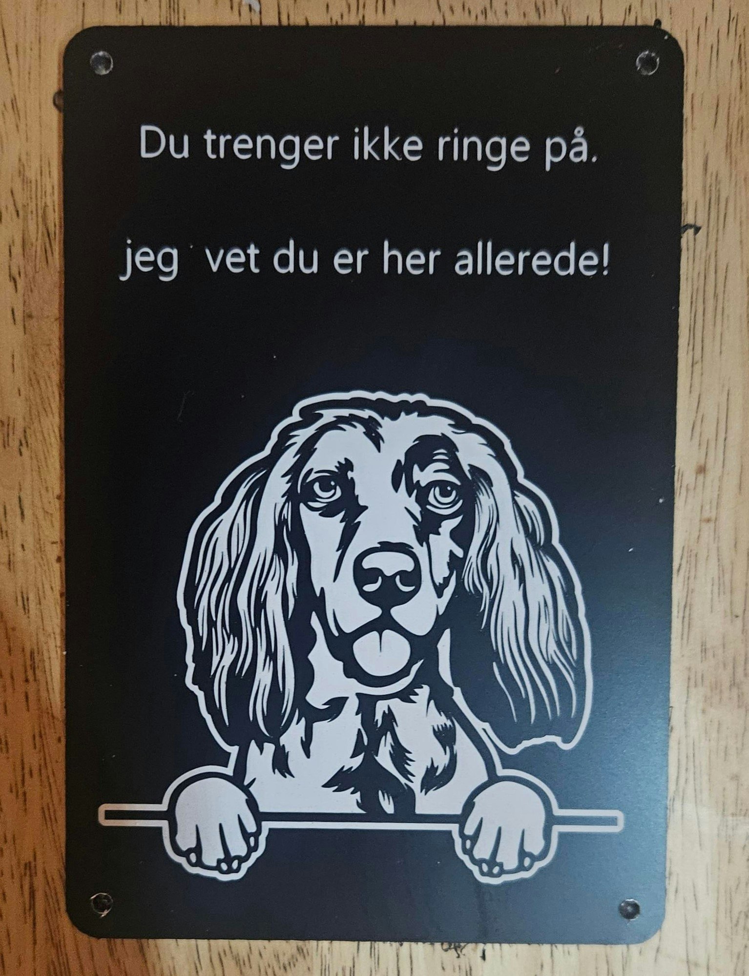 Irsk setter dørskilt