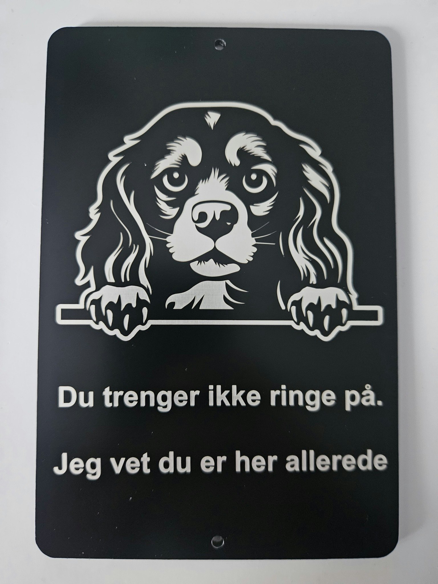 Cavalier king charles spaniel dørskilt