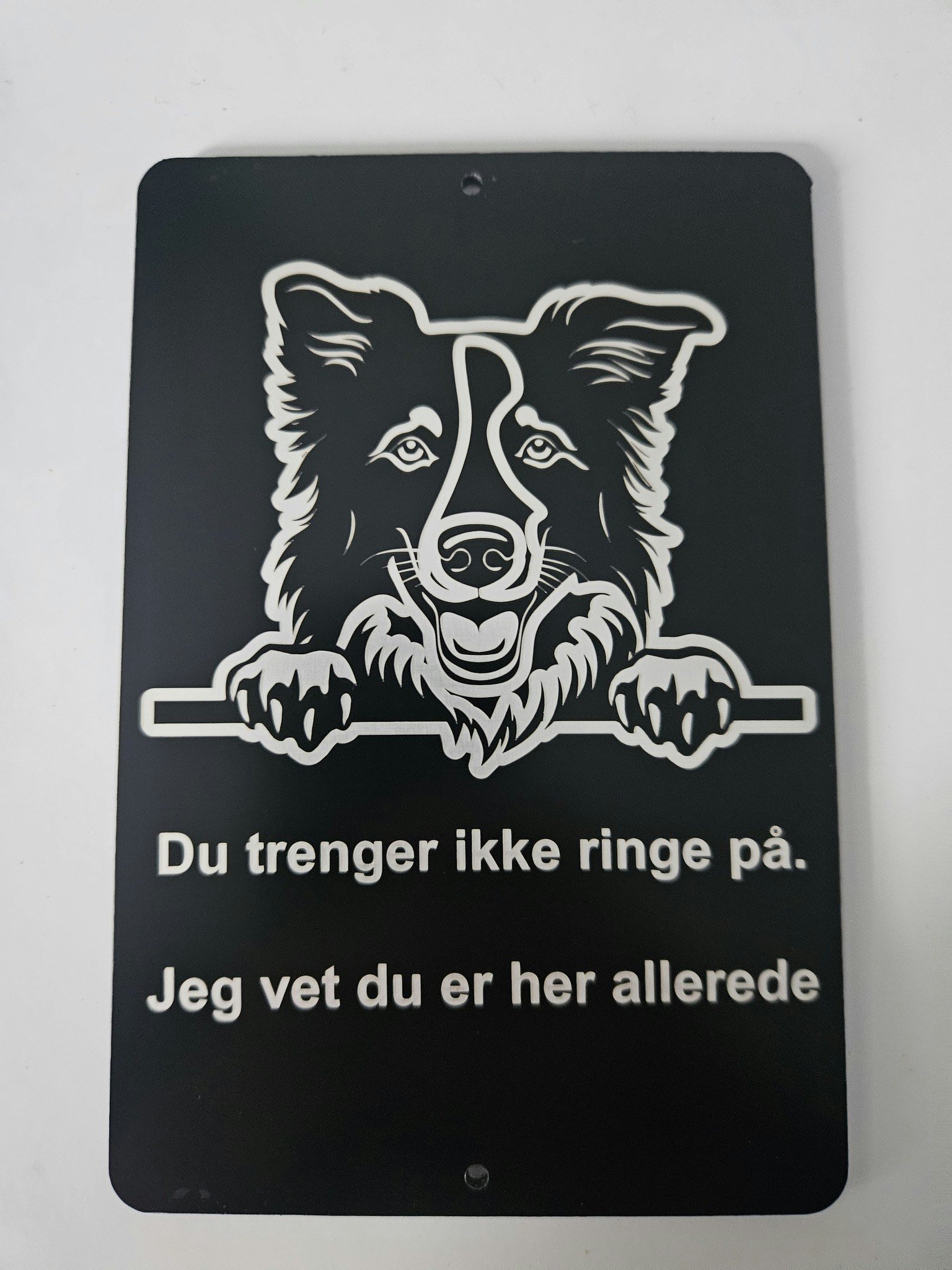 Border collie dørskilt