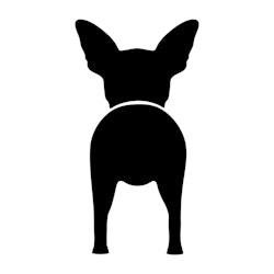 Bånd\seleholder Chihuahua