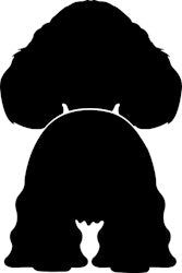 Bånd\seleholder Cocker Spaniel