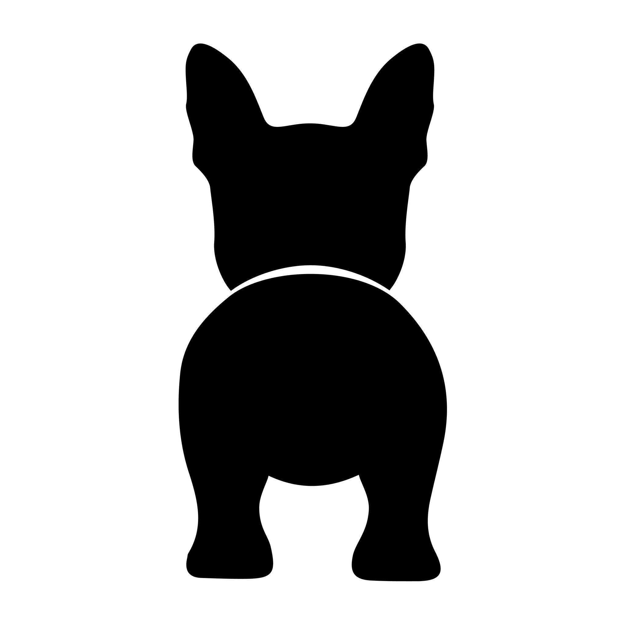 Bånd\seleholder Boston Terrier