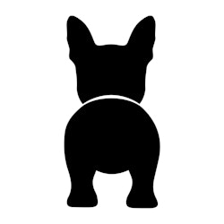 Bånd\seleholder Boston Terrier