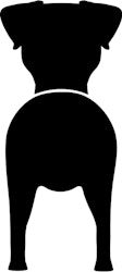 Bånd\seleholder Jack Russell Terrier