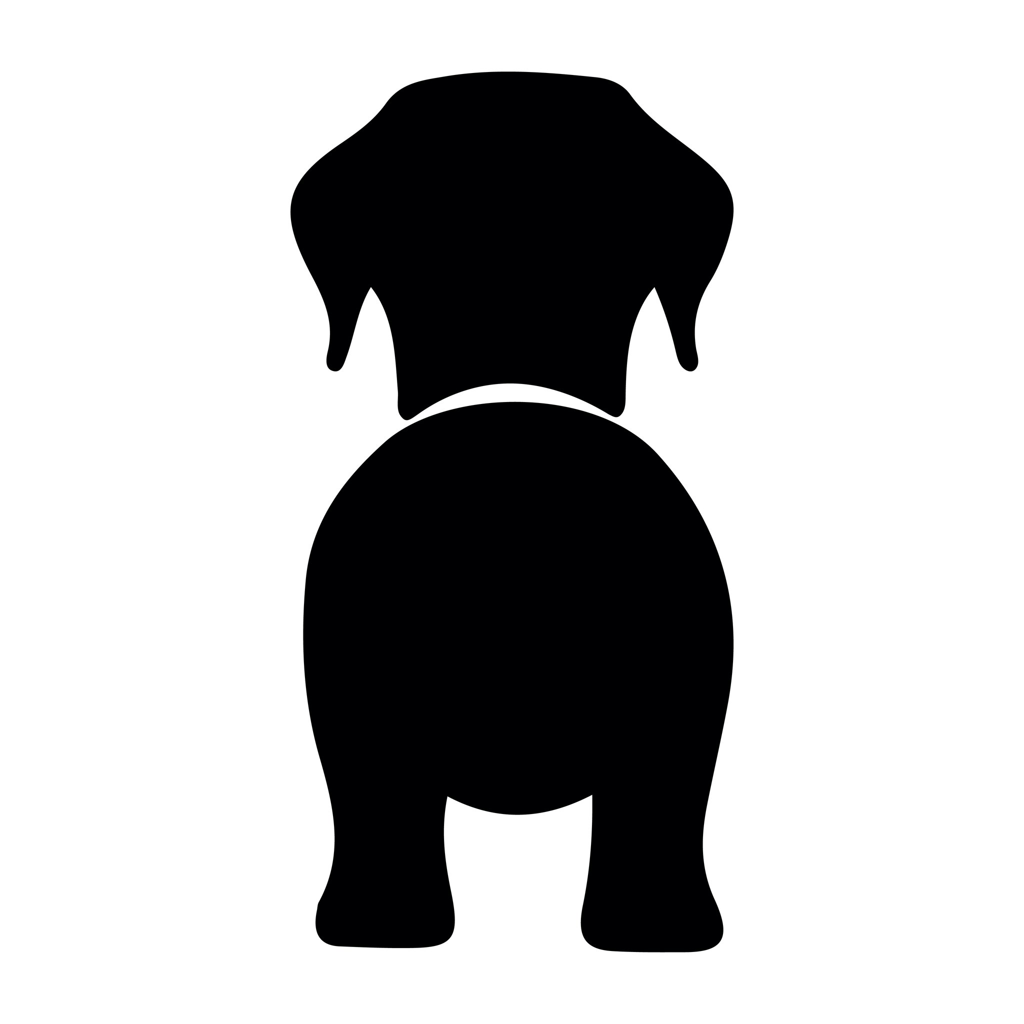 Bånd\seleholder Labrador