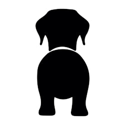 Bånd\seleholder Labrador