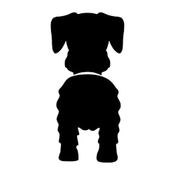 Bånd\seleholder Dverg Schnauzer