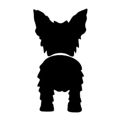 Bånd\seleholder Yorkshire terrier