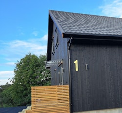 Hustall børstet gull med eller uten adresse TYPE 1