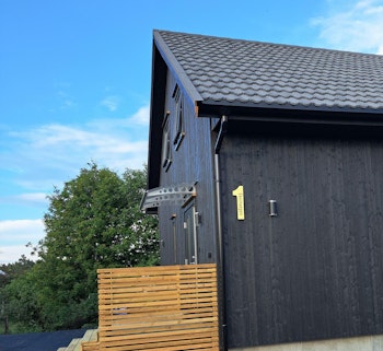 Hustall børstet gull med eller uten adresse TYPE 1