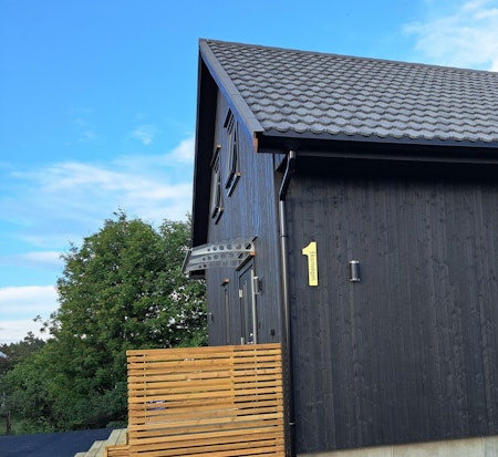 Hustall børstet gull med eller uten adresse TYPE 1