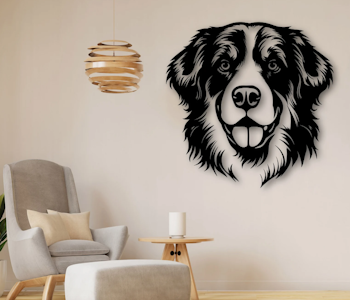 Berner sennenhund  skilt