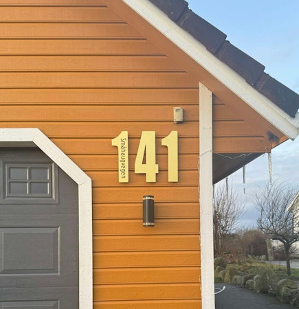 Hustall børstet gull med eller uten adresse TYPE 1