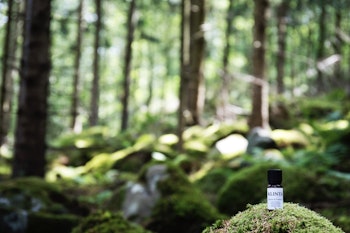 Trädgårdsmynta, Eterisk olja, 10 ml