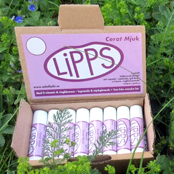 Lipps, läppcerat Mjuk – Ockelbo Bi