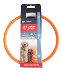 Halsband blink/fast Orange med USB-kabel