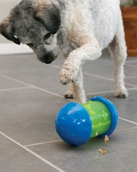 KONG Spin It