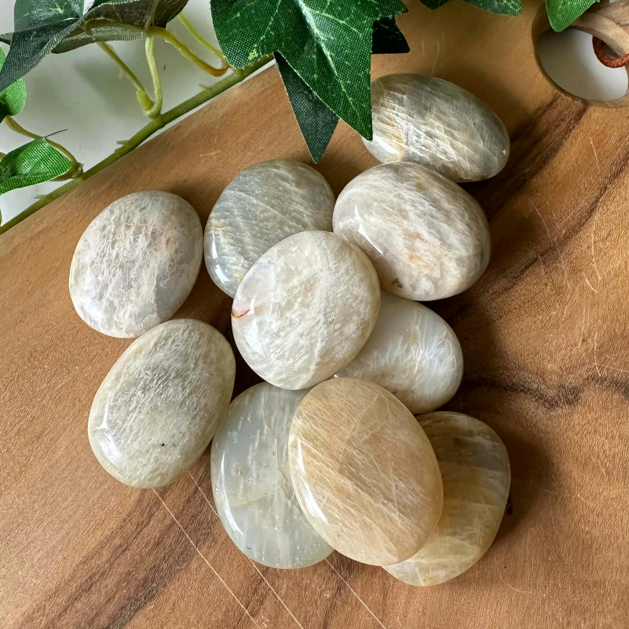 Månsten salviagrön - palmstone liten