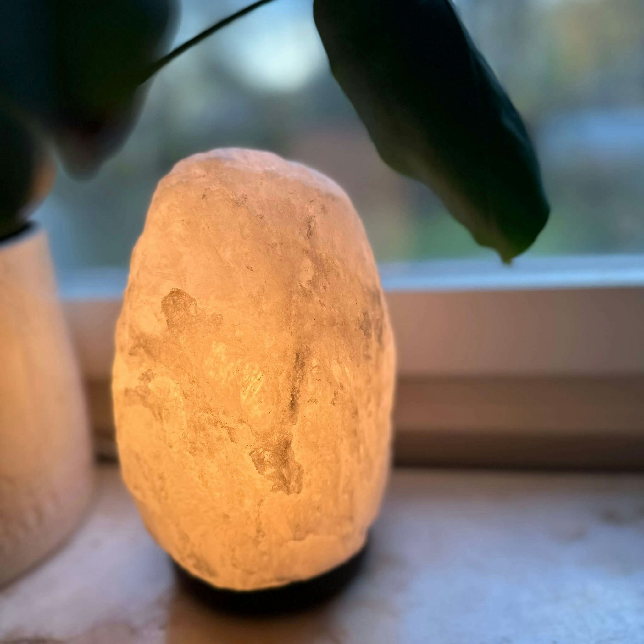 Lampor i Saltsten