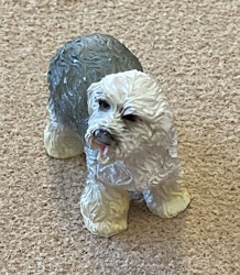 English sheepdog