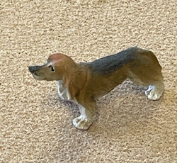 Hund