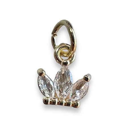 14K Gullforgylt krone charm