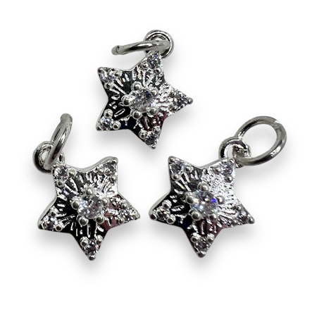 14K Gullforgylt stjerne charm