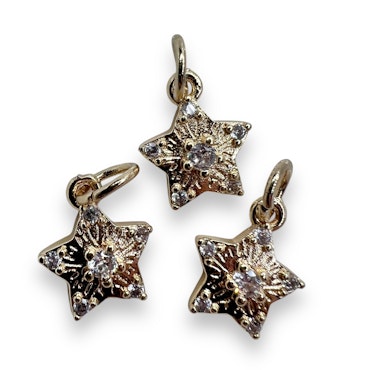 14K Gullforgylt stjerne charm
