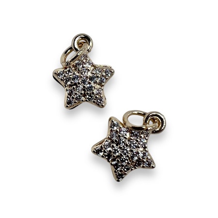 14K Gullforgylt stjerne charm
