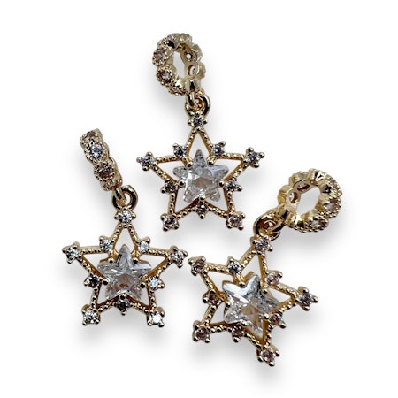 14K Gullforgylt stjerne charm