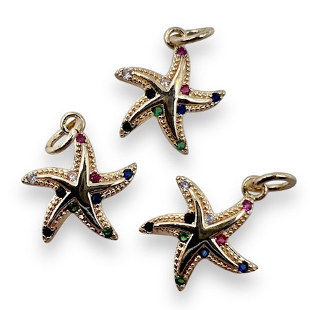 14K Gullforgylt Sjøstjerne charm