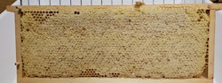 Kakhonung