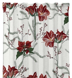 Amaryllis 300