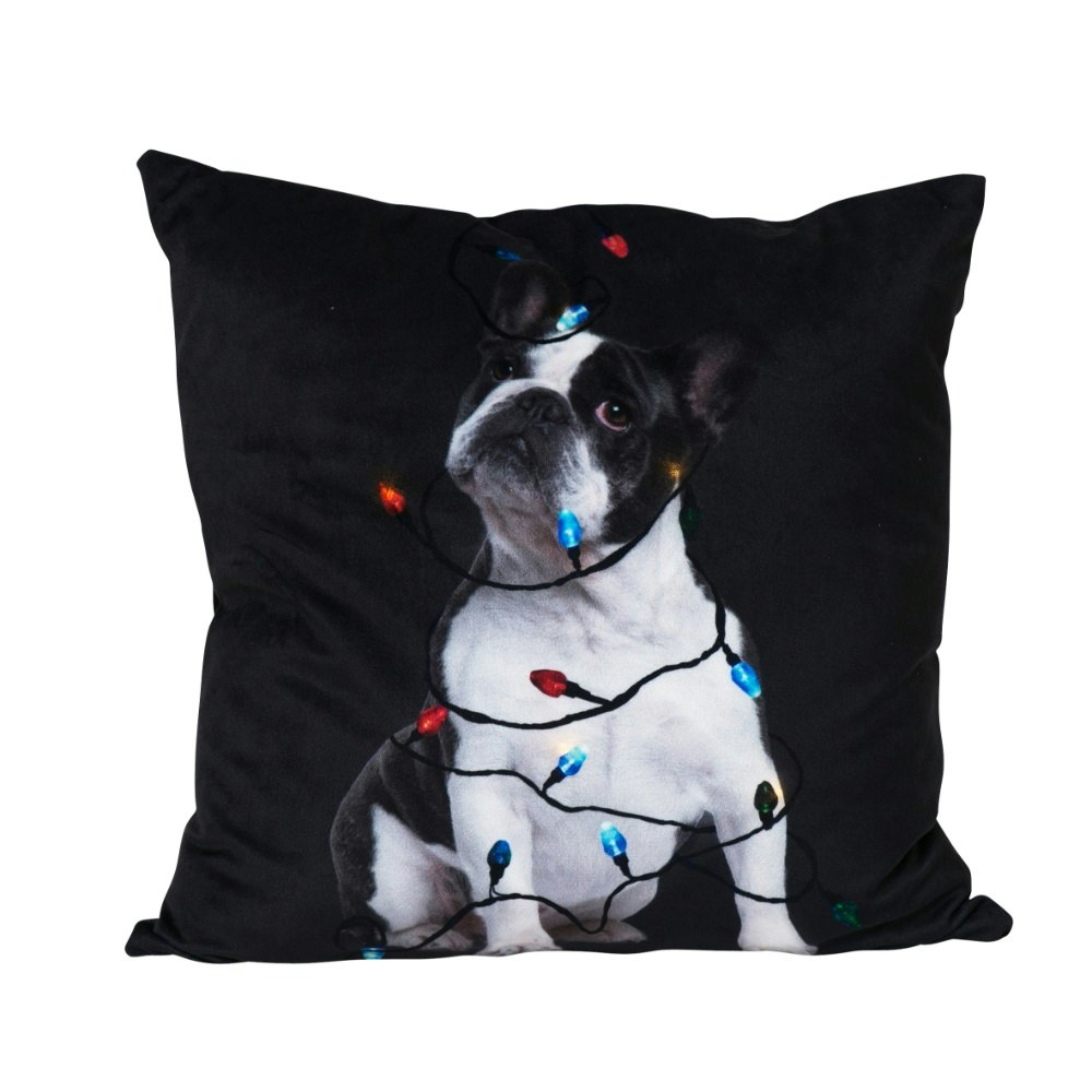 Hund kuddfodral