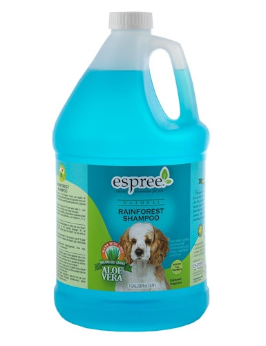 Rainforest Shampoo