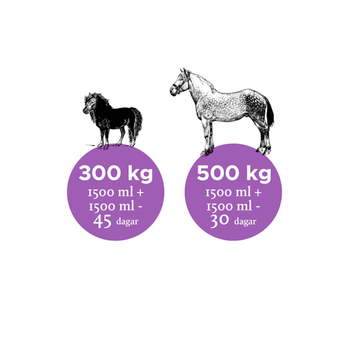 NUTROLIN HORSE JOINT DUO