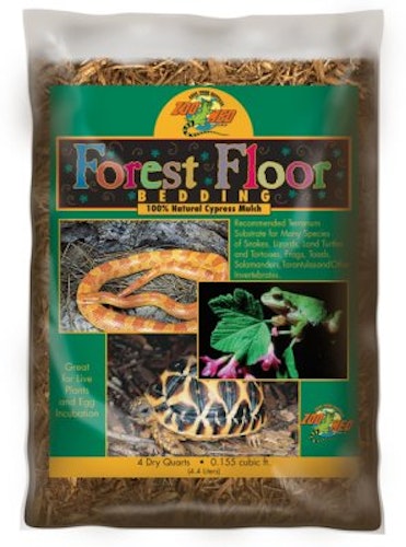 FOREST FLOOR